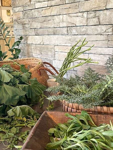 Wild Greens of Cyprus: Foraging Seminar & Workshop