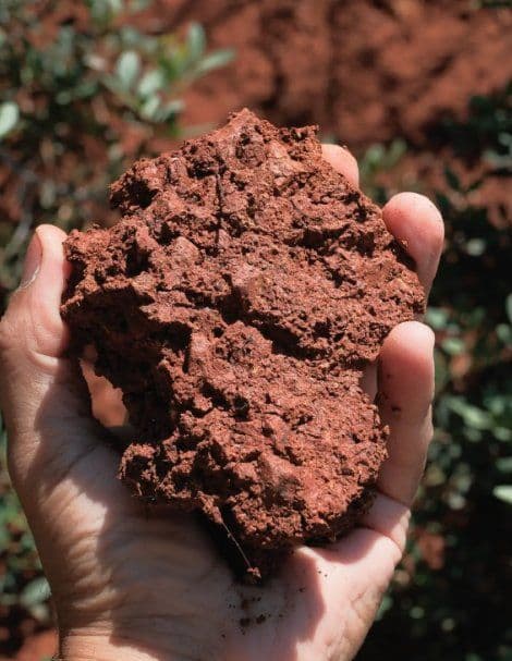 Material Correspondence: Wild Clay & Territory Workshop in Nicosia